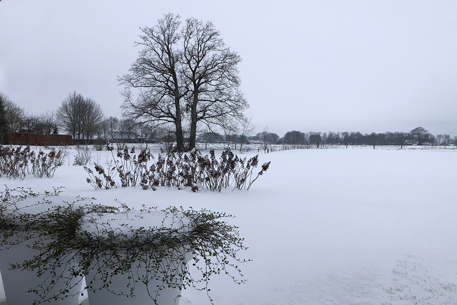 B&B Puur Geluk Wehl | tuin in de winter